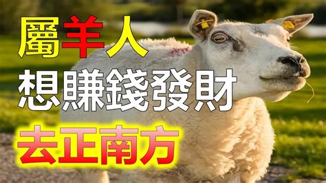 屬羊 方位|屬羊住房吉祥方向分析